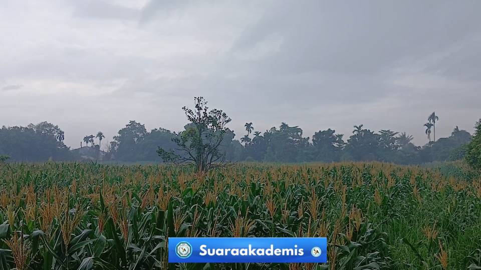 20251227_121814(1)_1766846111786