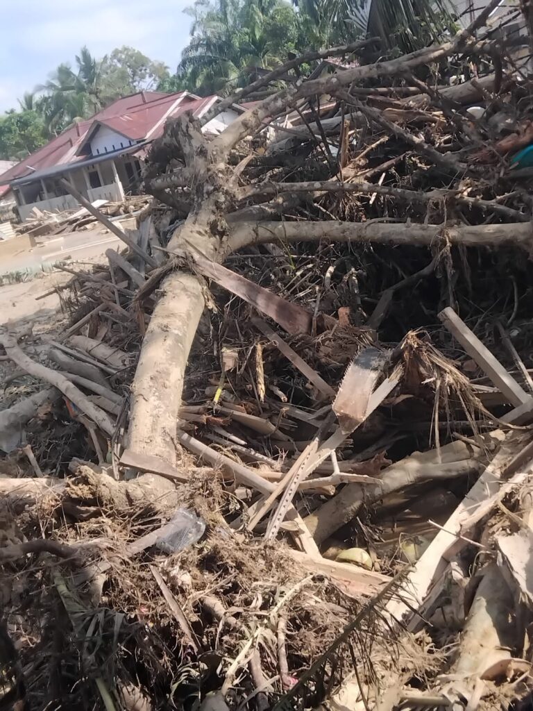 IMG-20251216-WA0055