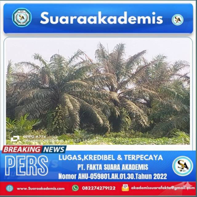 20260117_222445_1768663535383