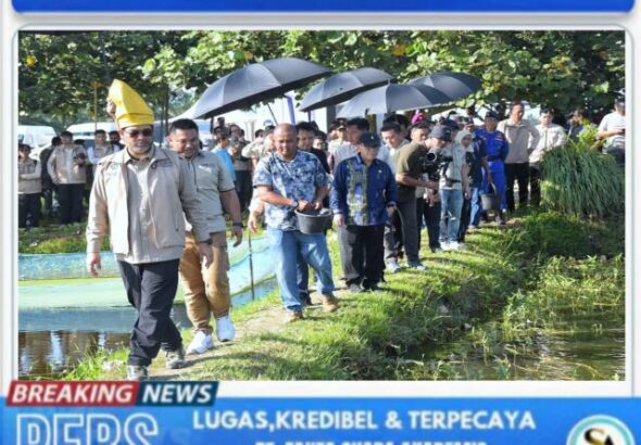 20260306_090029_1772762446538