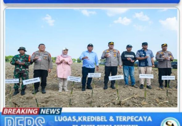 20260309_072019_1773015635827