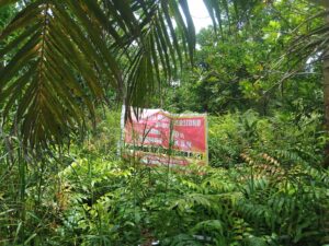 IMG-20260508-WA0059