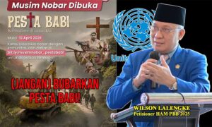 IMG-20260517-WA0010