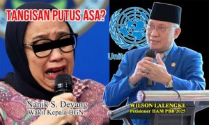 IMG-20260529-WA0004